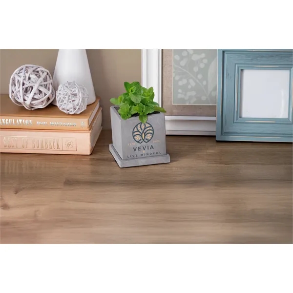 Stone planter set that is great for growing small plants with... from ASI 62190 Illini