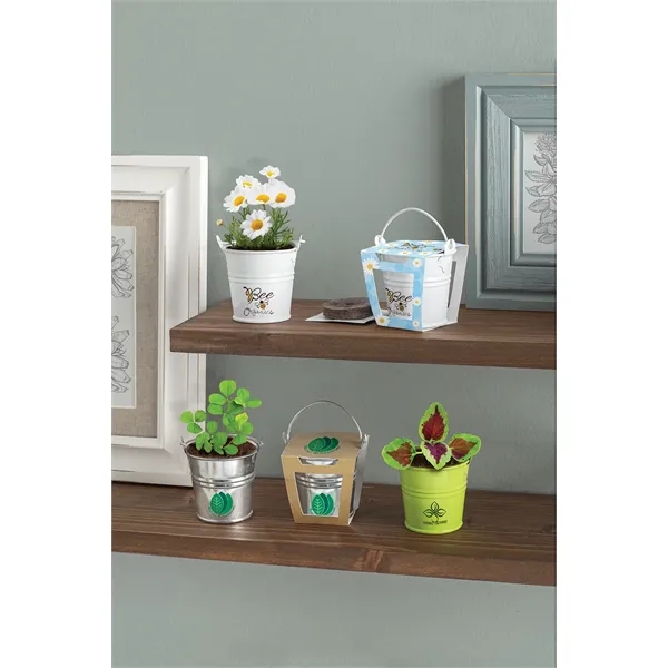 Mini pail blossom kit with one seed packet, one coconut coir... from ASI 62190 Illini