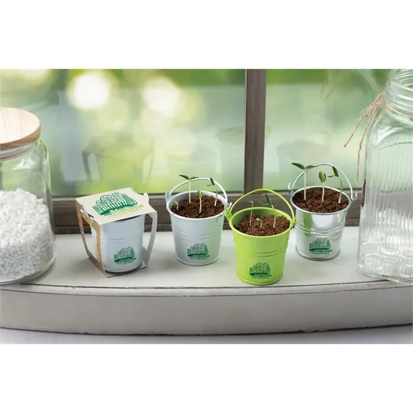 Mini pail blossom kit with one seed packet, one coconut coir... from ASI 62190 Illini