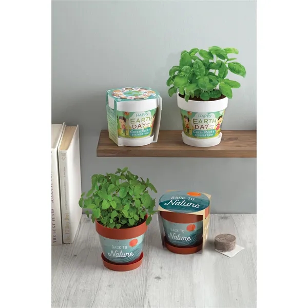 Snap-in blossom kit with plastic flower pot, one seed packet and... from ASI 62190 Illini