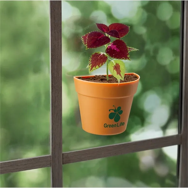 Attachable wall planter kit, with suction cups and vertical magnetic surfaces.... from ASI 62190 Illini