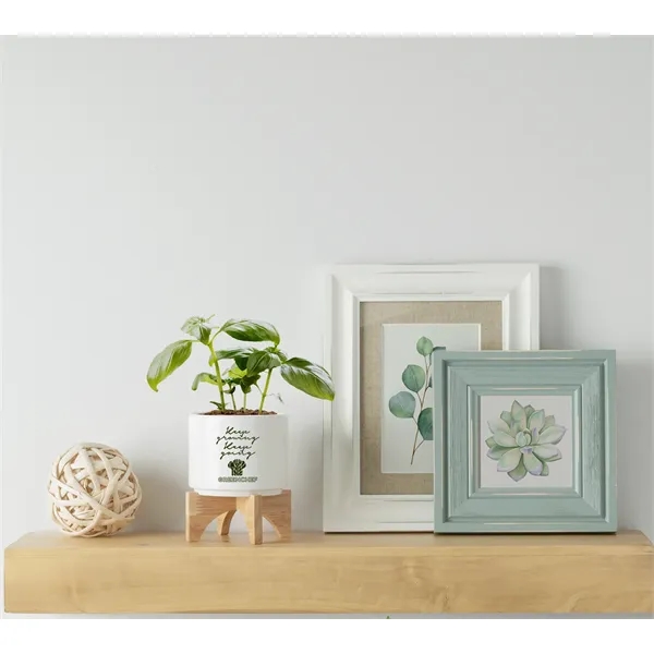 Ceramic planter set that is great for growing small plants with... from ASI 62190 Illini