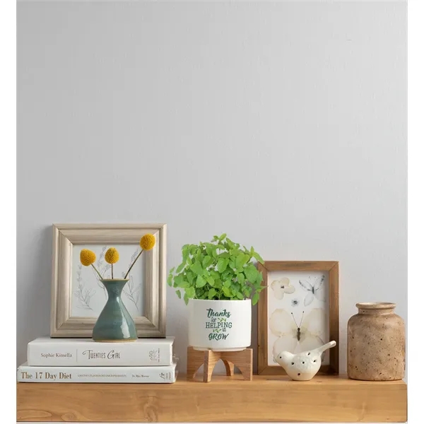 Ceramic planter set that is great for growing small plants with... from ASI 62190 Illini