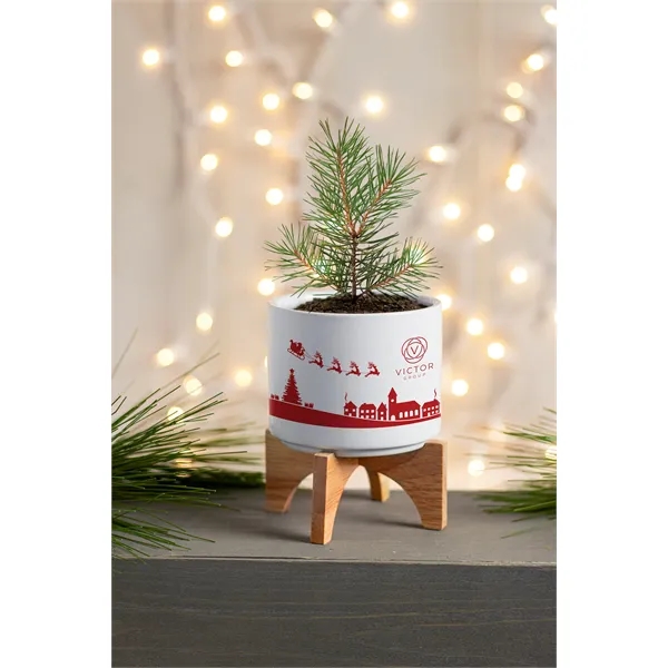 Ceramic planter set that is great for growing small plants with... from ASI 62190 Illini