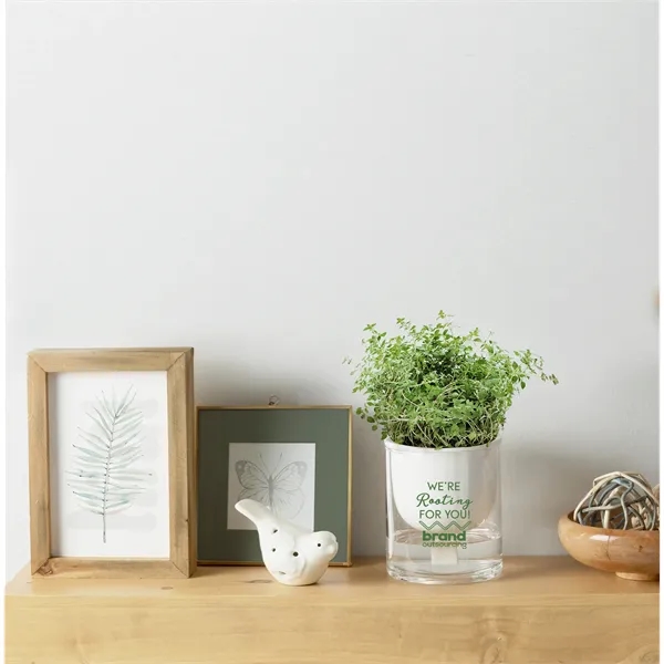 Self watering planter with a hydroponic watering system provides the perfect... from ASI 62190 Illini