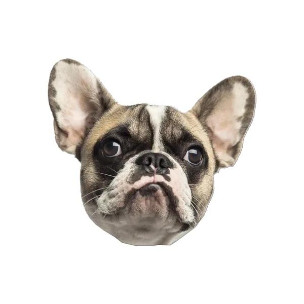 Custom foam core cutouts available in different sizes.... from ASI 90807 Tekweld