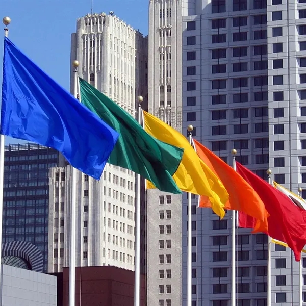 2' x 3' solid-colored nylon flag.... from ASI 87188 Showdown Displays