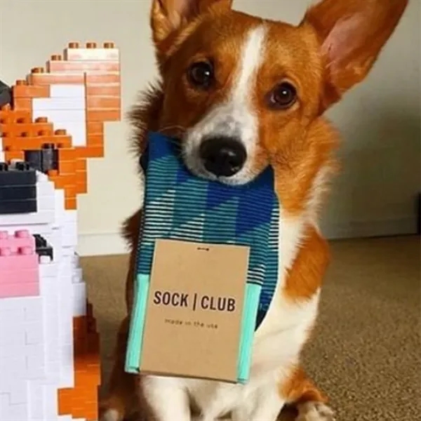 5 day turnaround. Complimentary mockups and design support. Made in USA.... from ASI 88072 Sock Club Enterprises LLC