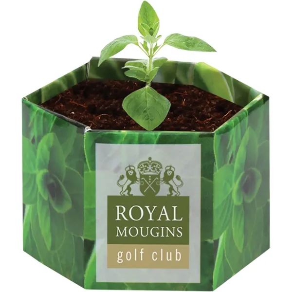 Pop up flower or herb starter kit with a container, soil... from ASI 54100 Fields Manufacturing Inc / Fields