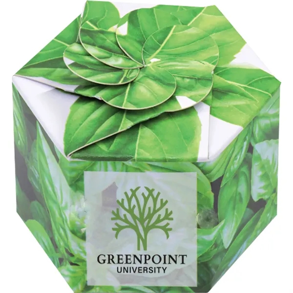 Pop up flower or herb starter kit with a container, soil... from ASI 54100 Fields Manufacturing Inc / Fields