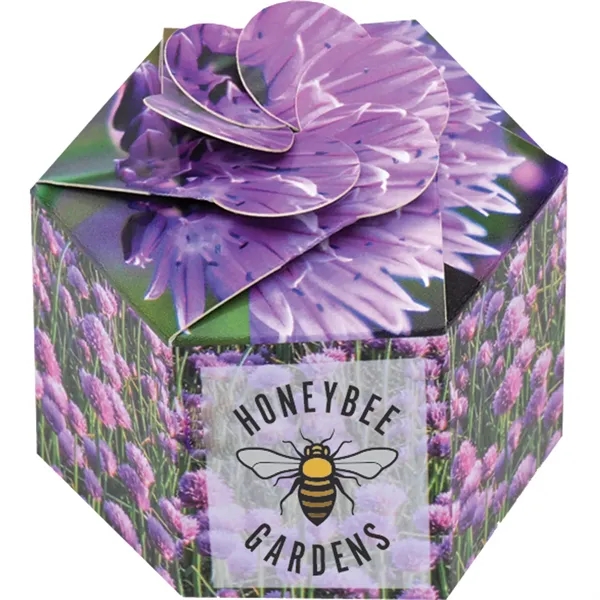 Pop up flower or herb starter kit with a container, soil... from ASI 54100 Fields Manufacturing Inc / Fields