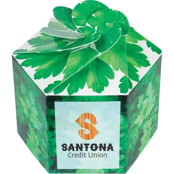 Pop up flower or herb starter kit with a container, soil... from ASI 54100 Fields Manufacturing Inc / Fields