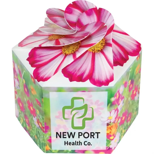 Pop up flower or herb starter kit with a container, soil... from ASI 54100 Fields Manufacturing Inc / Fields