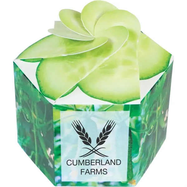 Pop up flower or herb starter kit with a container, soil... from ASI 54100 Fields Manufacturing Inc / Fields