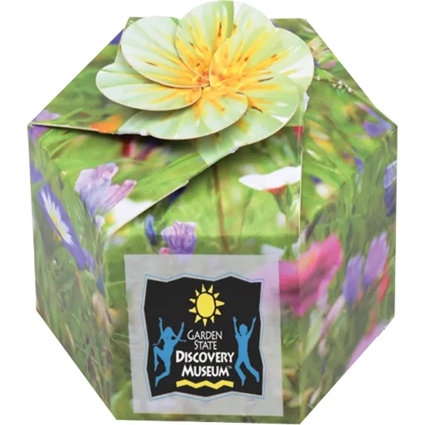 Pop up flower or herb starter kit with a container, soil... from ASI 54100 Fields Manufacturing Inc / Fields