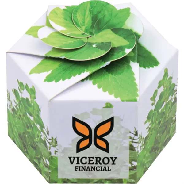 Pop up flower or herb starter kit with a container, soil... from ASI 54100 Fields Manufacturing Inc / Fields