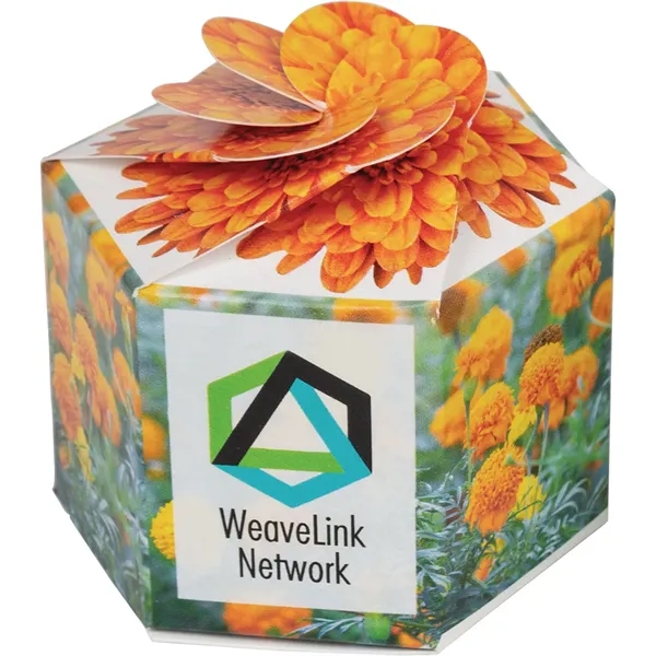 Pop up flower or herb starter kit with a container, soil... from ASI 54100 Fields Manufacturing Inc / Fields