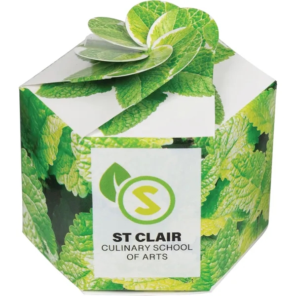 Pop up flower or herb starter kit with a container, soil... from ASI 54100 Fields Manufacturing Inc / Fields