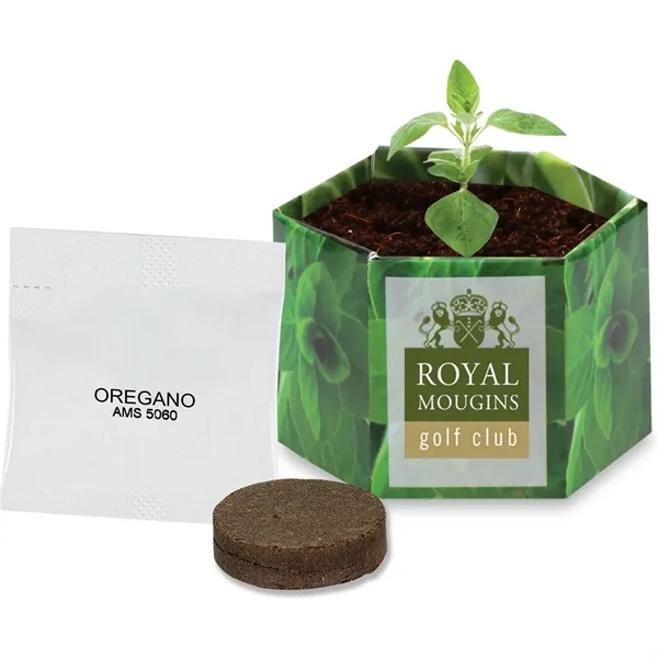 Pop up flower or herb starter kit with a container, soil... from ASI 54100 Fields Manufacturing Inc / Fields