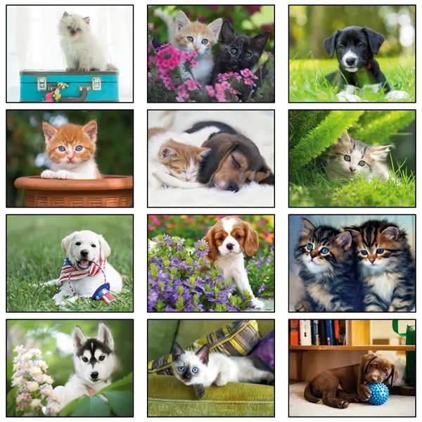 13 month puppies and kittens calendar.... from ASI 61966 HPG / Beacon Promotions HPG Gold