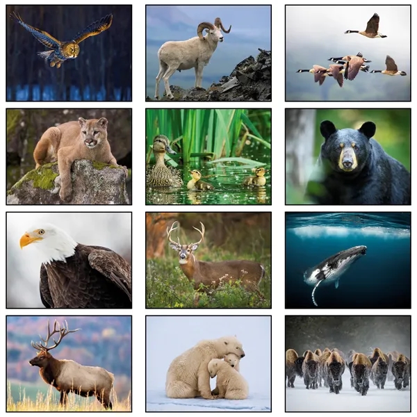 13 month animals in the wild calendar.... from ASI 61966 HPG / Beacon Promotions HPG Gold