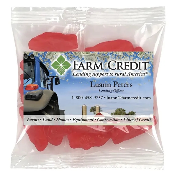 Small Snack Bag with 2" x 3.5" Rectangle Magnet filled with... from ASI 68507 The Magnet Group / The 1919 Candy Company