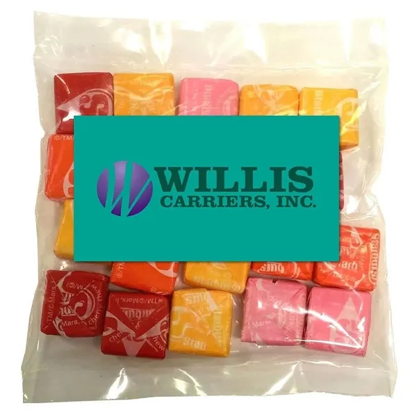 Large Snack Bag with a 2" x 3.5" Rectangle Magnet and... from ASI 68507 The Magnet Group / The 1919 Candy Company