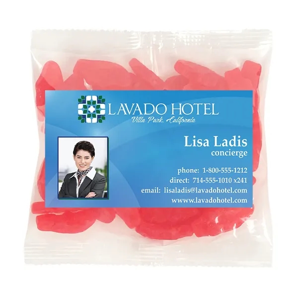 Large Snack Bag with a 2" x 3.5" Rectangle Magnet and... from ASI 68507 The Magnet Group / The 1919 Candy Company