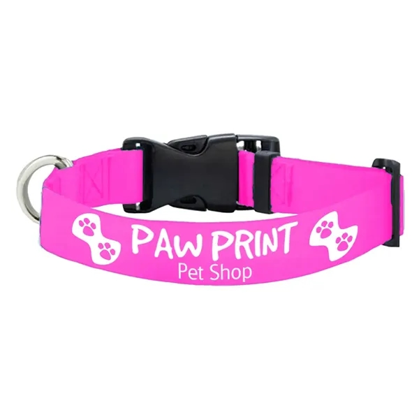 Adjustable rPET polyester pet collar with strong buckle release.... from ASI 39552 BEL Promo