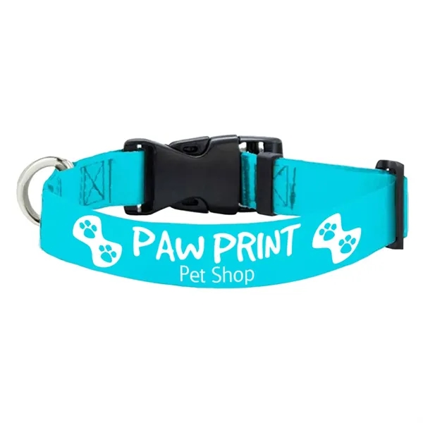 Adjustable rPET polyester pet collar with strong buckle release.... from ASI 39552 BEL Promo