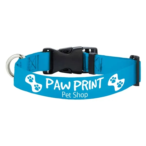 Adjustable rPET polyester pet collar with strong buckle release.... from ASI 39552 BEL Promo
