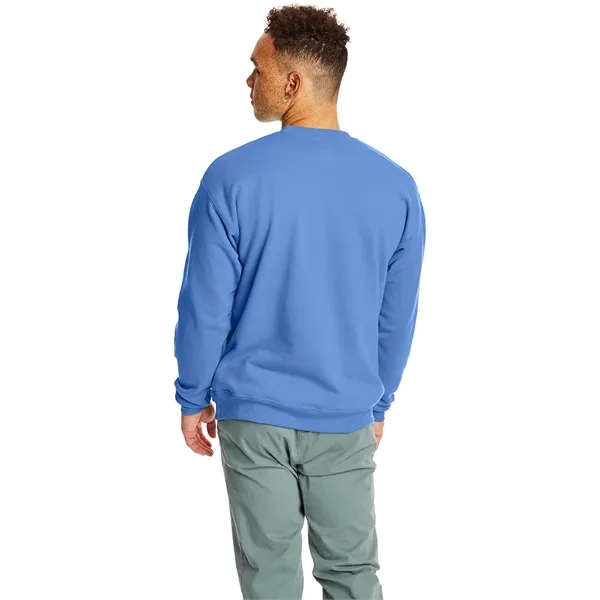 Hanes adult EcoSmart® fleece crewneck sweatshirt.... from ASI 34063 alphabroder