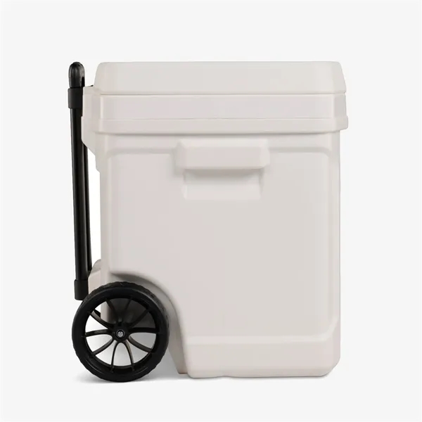 The Profile II 60-Quart Cooler is built for serious outdoor enthusiasts,... from ASI 76730 Peerless Umbrella Co Inc