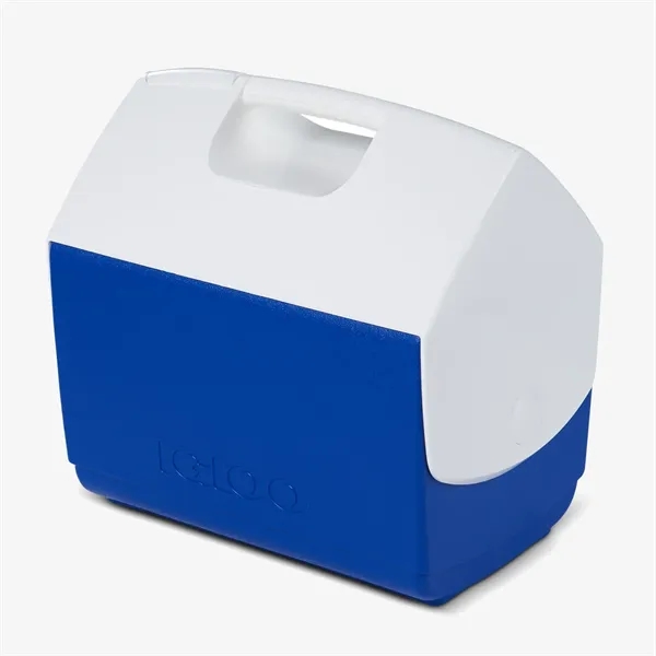 This 16 quart cooler is insulated with THERMECOOL™ foam, offering superior... from ASI 76730 Peerless Umbrella Co Inc