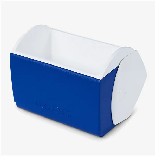 This 16 quart cooler is insulated with THERMECOOL™ foam, offering superior... from ASI 76730 Peerless Umbrella Co Inc