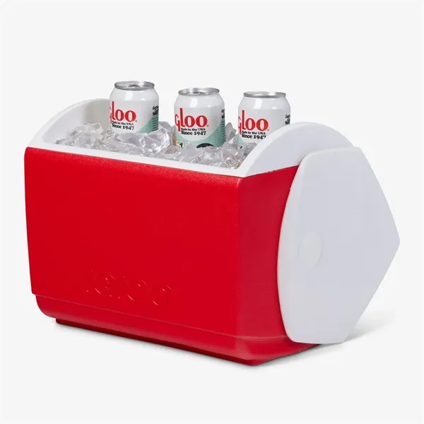 This 16 quart cooler is insulated with THERMECOOL™ foam, offering superior... from ASI 76730 Peerless Umbrella Co Inc