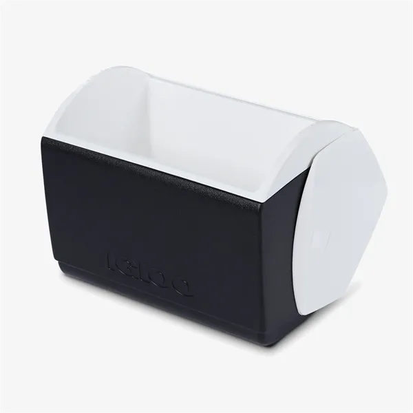 This 16 quart cooler is insulated with THERMECOOL™ foam, offering superior... from ASI 76730 Peerless Umbrella Co Inc