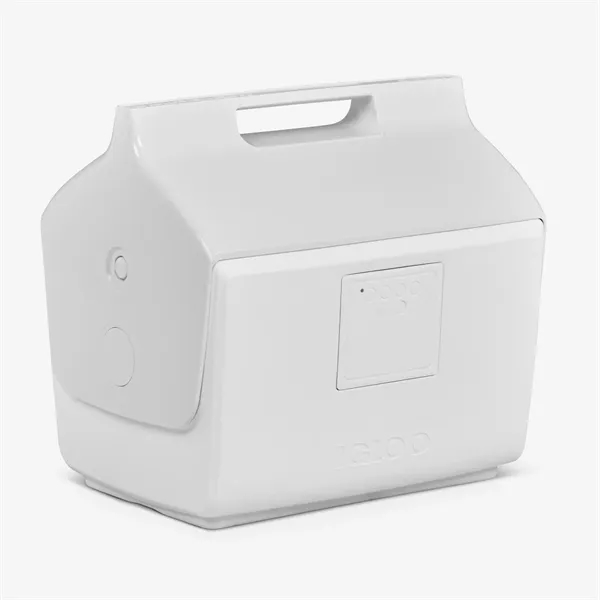 This 16 quart cooler is insulated with THERMECOOL™ foam, offering superior... from ASI 76730 Peerless Umbrella Co Inc