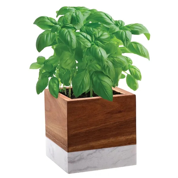Acacia wood and marble planter set that is great for growing... from ASI 62190 Illini