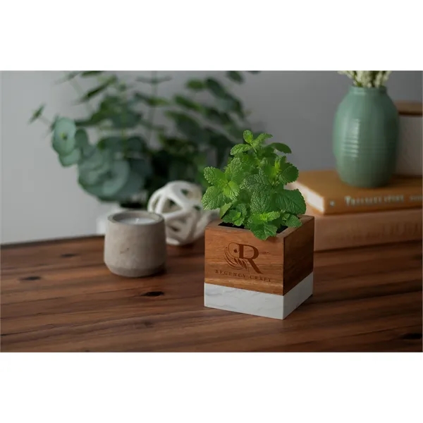 Acacia wood and marble planter set that is great for growing... from ASI 62190 Illini