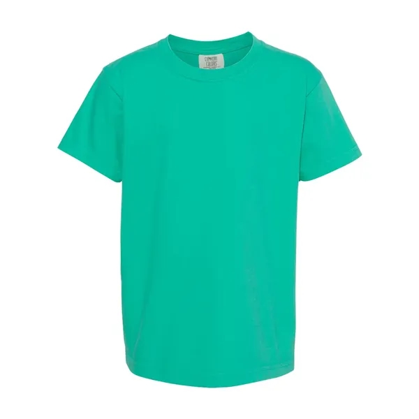 COMFORT COLORS YOUTH 5.4 OZ. T-SHIRT... from ASI 30208 A P Specialties / AP Specialties