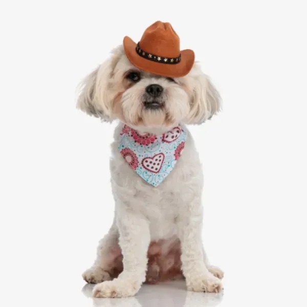 Full color sublimation dog bandana... from ASI 55675 Galaxy Balloons Inc