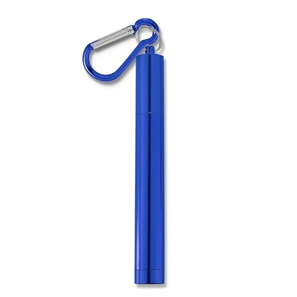 The Last Straw... from ASI 57800 Gordon Sinclair