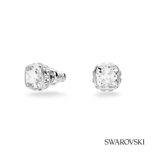 Swarovski® Birthstone Stud Earrings... from ASI 84592 St Regis Group
