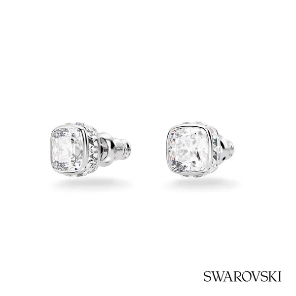 Swarovski® Birthstone Stud Earrings... from ASI 84592 St Regis Group