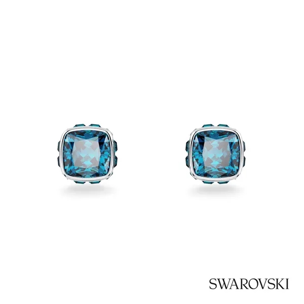 Swarovski® Birthstone Stud Earrings... from ASI 84592 St Regis Group