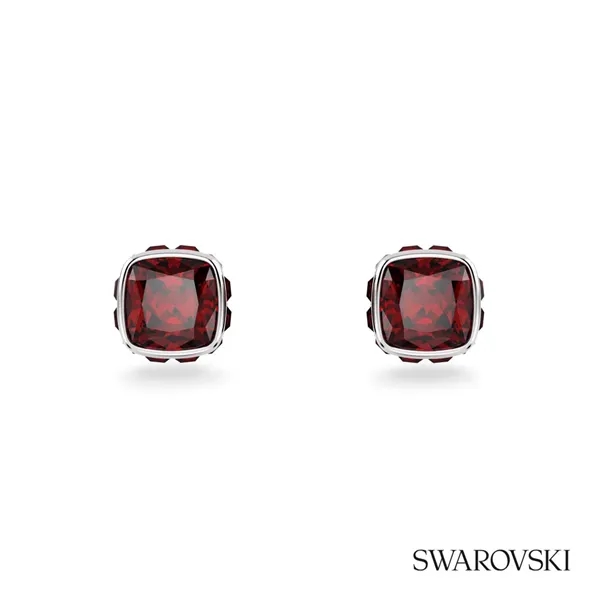 Swarovski® Birthstone Stud Earrings... from ASI 84592 St Regis Group