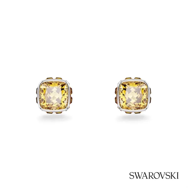 Swarovski® Birthstone Stud Earrings... from ASI 84592 St Regis Group
