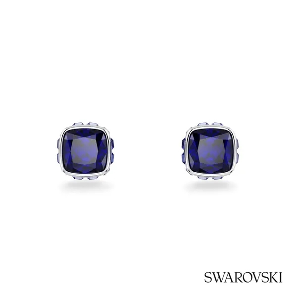 Swarovski® Birthstone Stud Earrings... from ASI 84592 St Regis Group