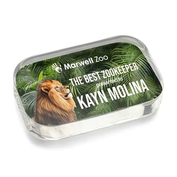 Halperin Rectangle VividPrint™ Paperweight... from ASI 84592 St Regis Group / St Regis